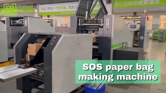 L'emballage économiseur d'énergie de Papad de marque de Rokin met en sac le sac de papier faisant la machine avec la machine plate de poignée de ruban