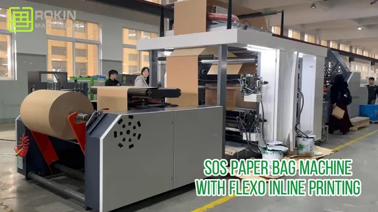 Sacs d'emballage de gaufres d'alimentation d'arbre à air de marque Rokin faisant la machine Mini machine de sacs en papier